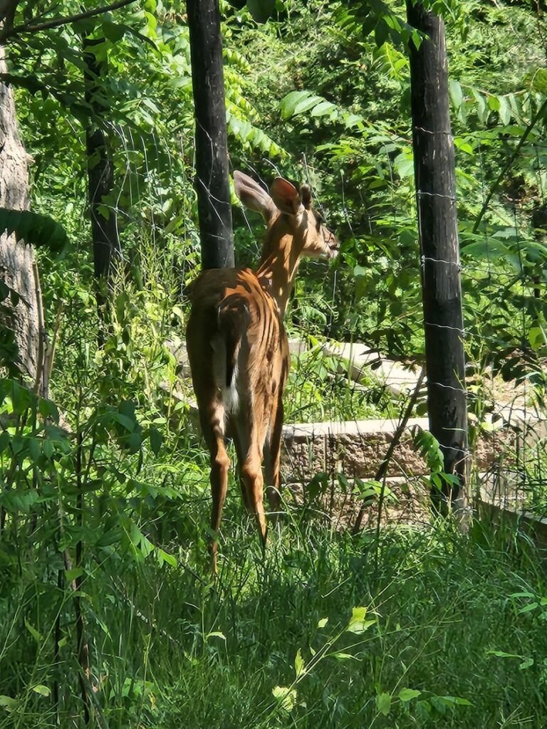 Home 355032375 10167646884840527 949505590293539793 n